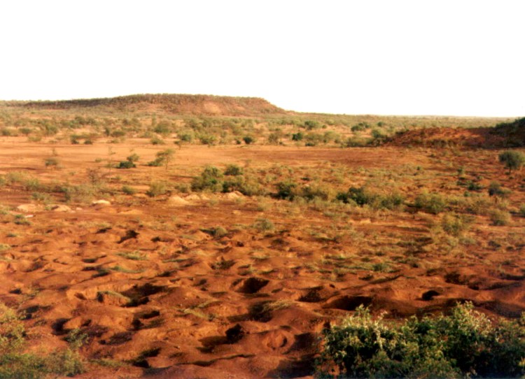 Refuse pile after mining and treatment by the system 