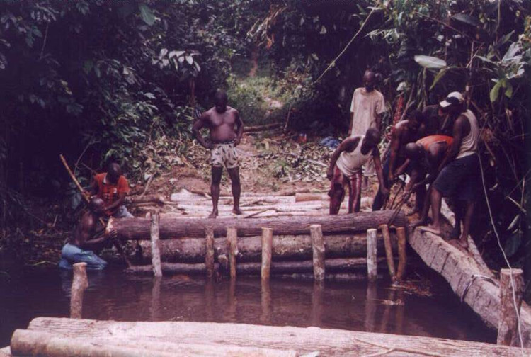 Constructing of access roads