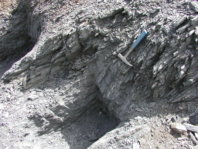 Detail of black schist outcrop