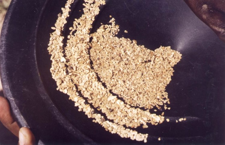 Large-grained alluvial gold (the Sira placer)
