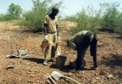 Sampling of alluvial sediments