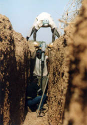 Sampling of trenches by vibrating drilling