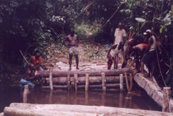 Constructing of access roads