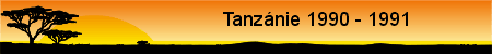 Tanzánie 1990 - 1991