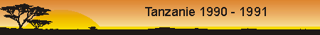 Tanzanie 1990 - 1991